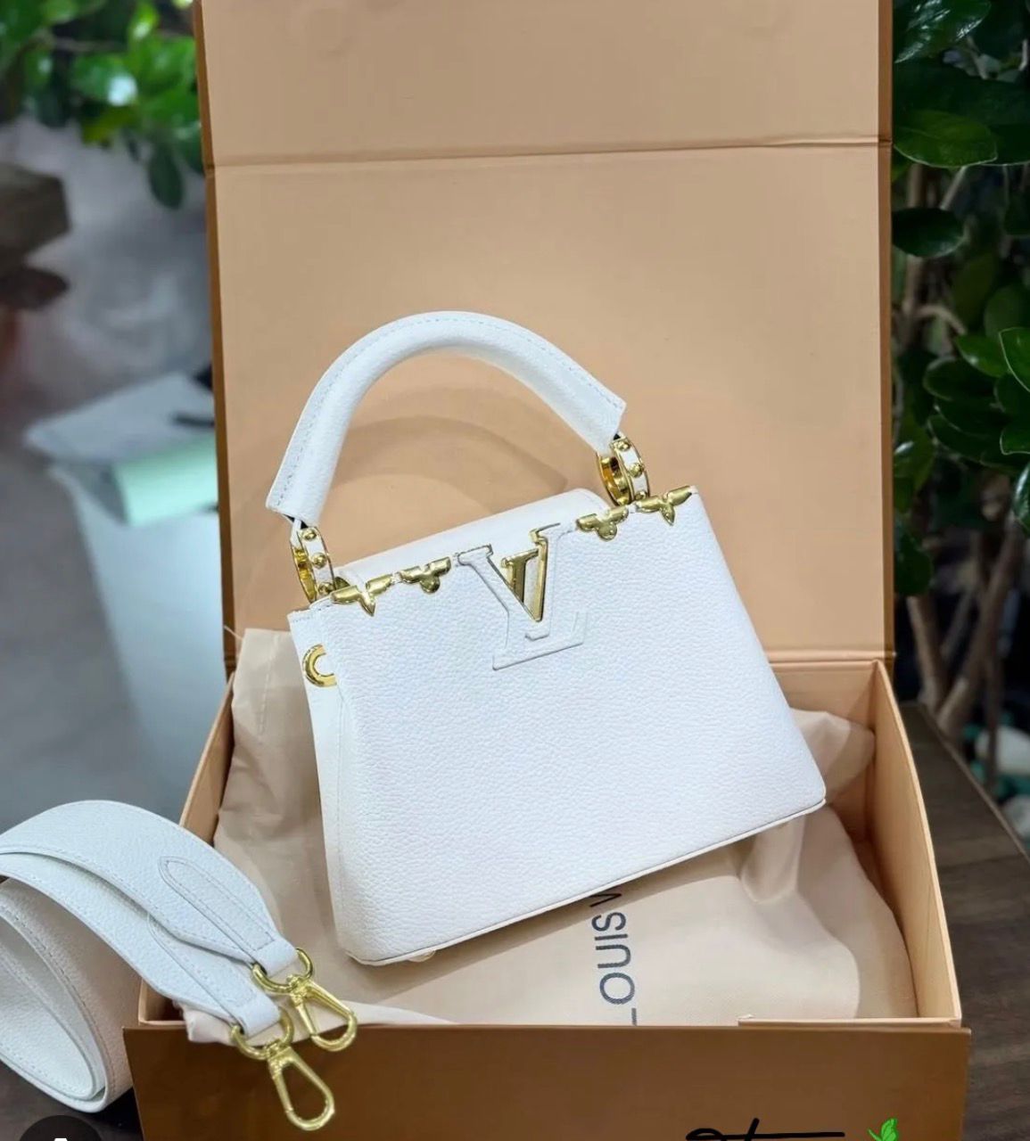 Louis Vuitton Capucines Mini Bag